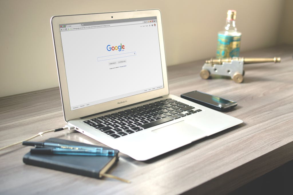SEO local référencement web Terre bleue Marketing