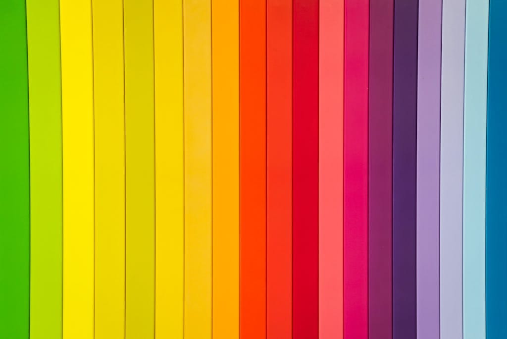 Palette de couleur identité de marque